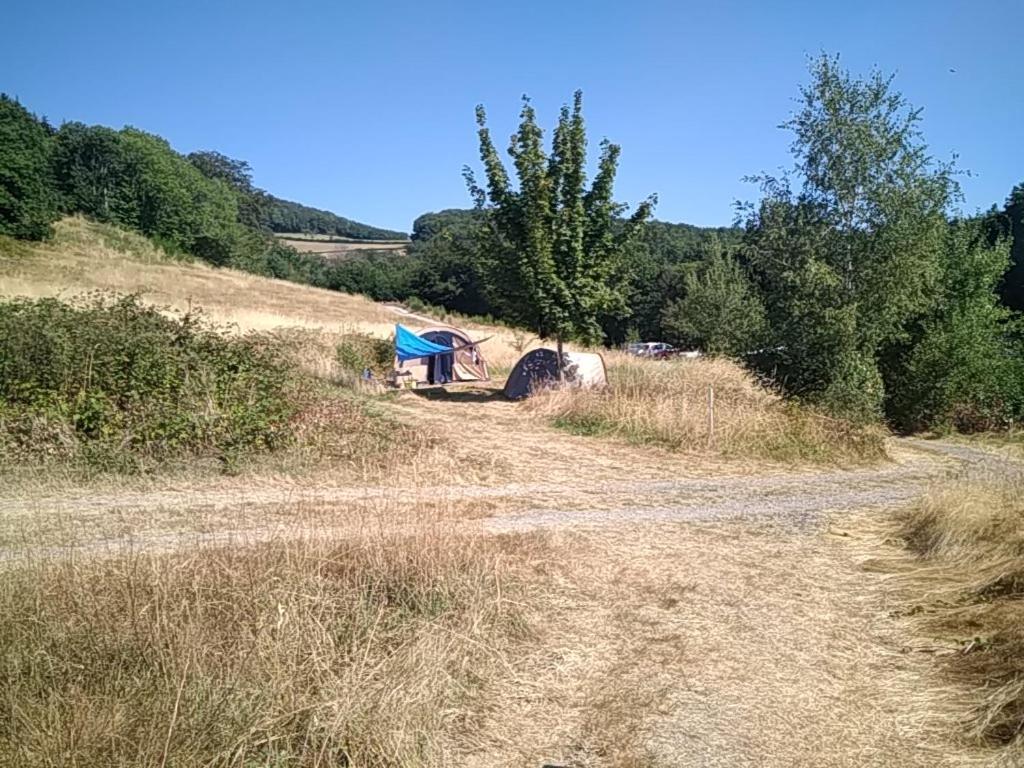 Camping La Foret Du Morvan Larochemillay Екстер'єр фото